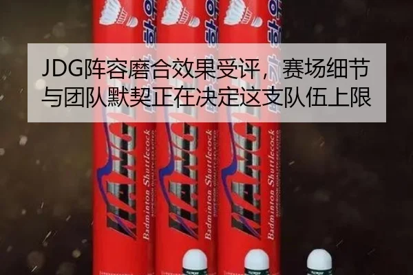 JDG阵容磨合效果受评，赛场细节与团队默契正在决定这支队伍上限